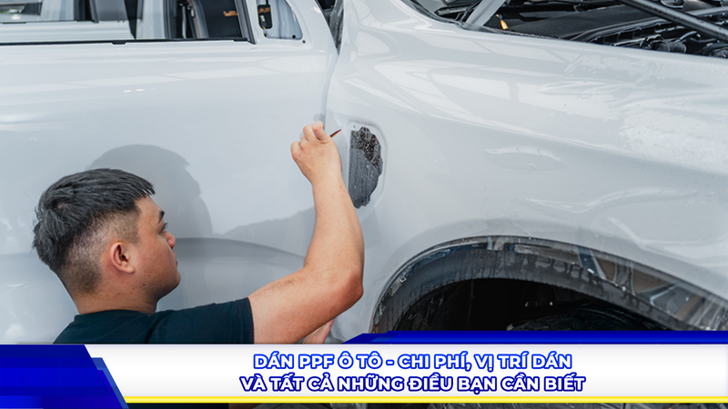 Dán PPF ô tô - Chi phí, vị trí dán và tất cả những điều bạn cần biết